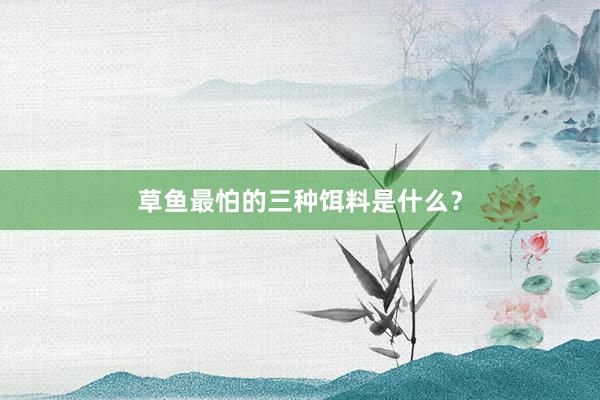 草鱼最怕的三种饵料是什么？
